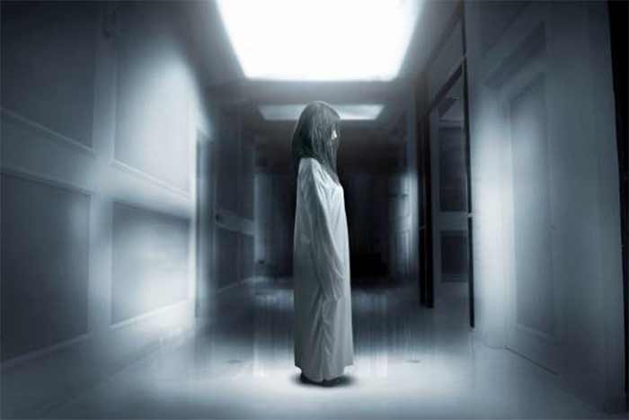 موجودات