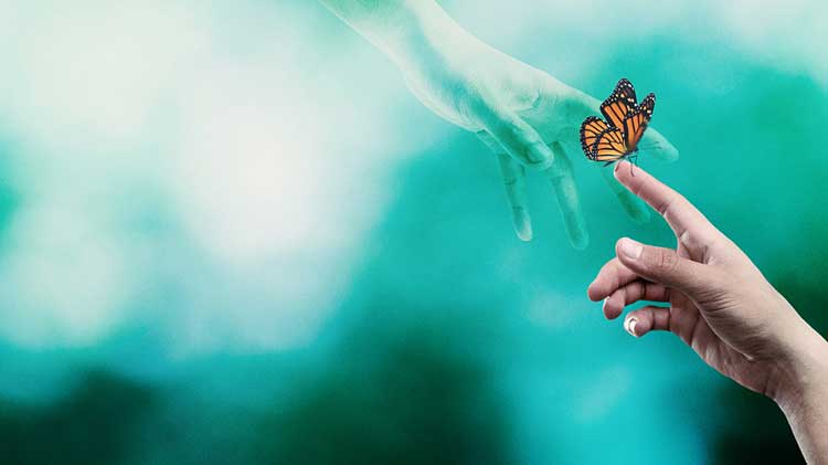 امام علی, زندگی پس از مرگ عالم برزخ